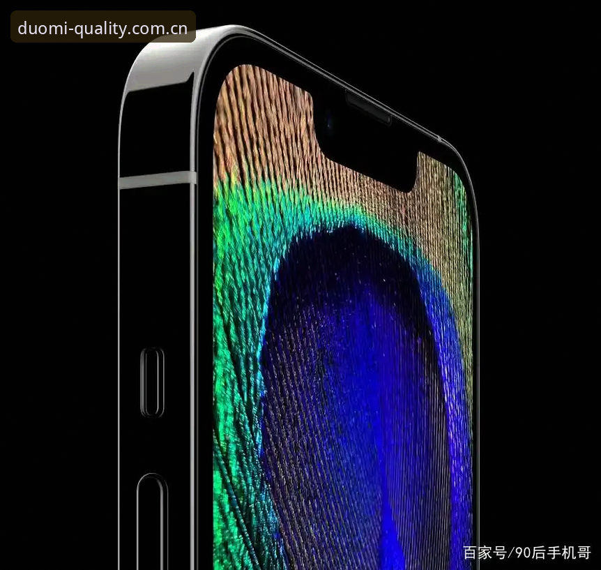 多米体育官网安装最新版怎么样？iOS用户如何顺利完成下载更新？